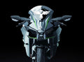 Owl Racing Windshield Decal
