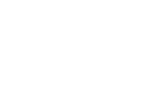 Owl Racing