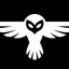 Owl Racing