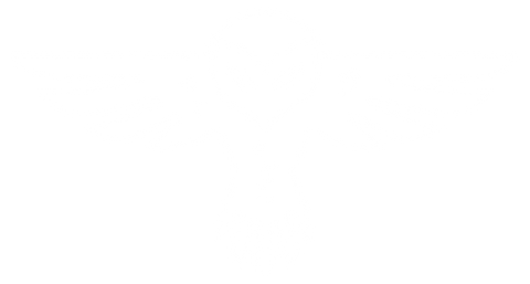 Owl Racing Club
